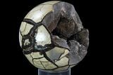 Septarian Dragon Egg Geode - (Special Price) #86911-2